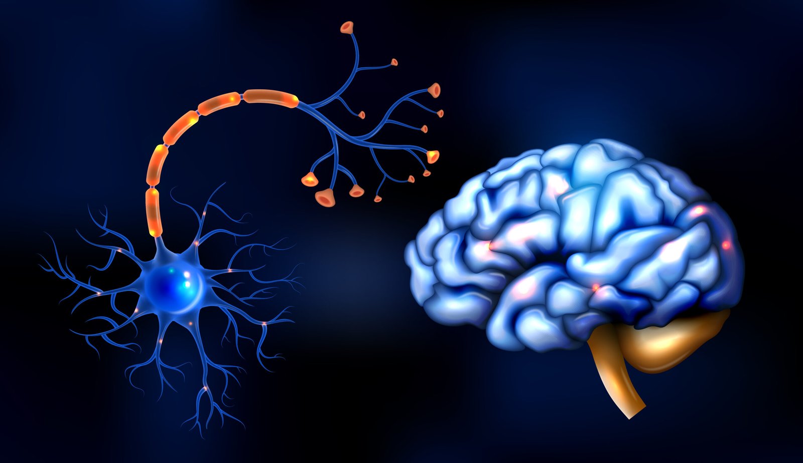 PT Neuro
